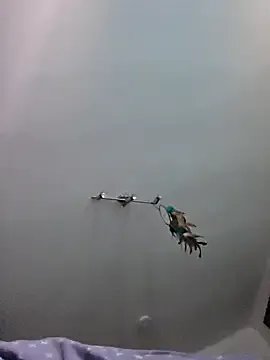 dieGeile0411 — Zum organsmus