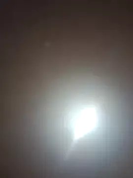 Dolcecurvy on StripChat