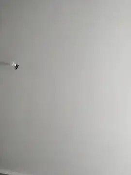 Dolcecurvy on StripChat