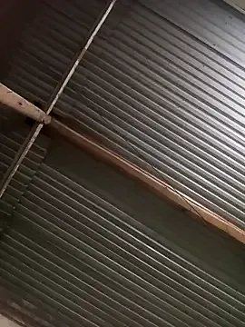 dorothyxx on StripChat