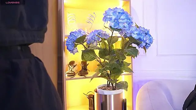 elasummer on StripChat