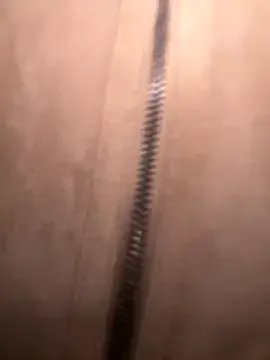 Freechat FroggyAnna on StripChat