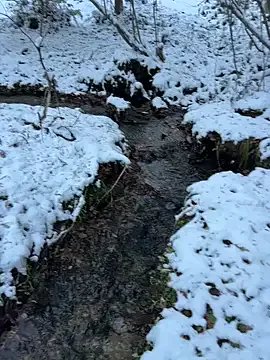 Hideen-real-face on StripChat