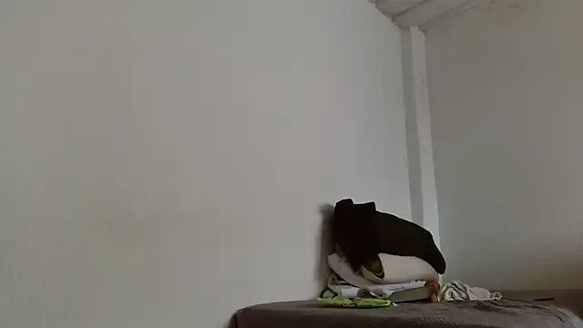 isabel_24_gil on StripChat