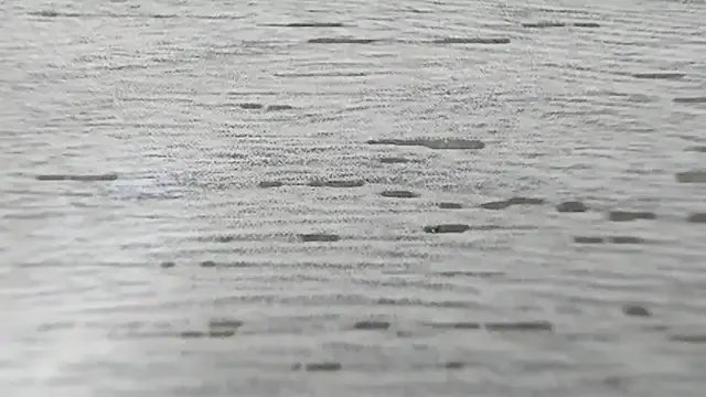 IzabelllNoir on StripChat