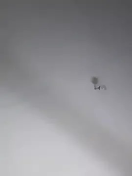 Joagorditahot on StripChat