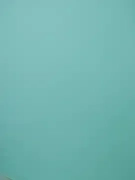 Lasi_cam on StripChat