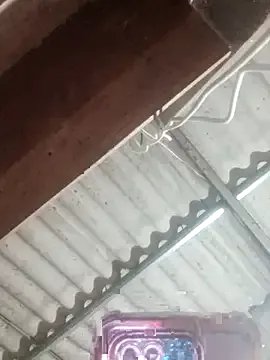 Lin-miuu — I am a poor girl. Please help me.