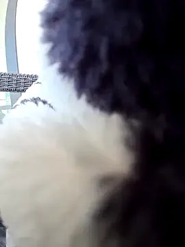 Freechat lolyforyou on StripChat