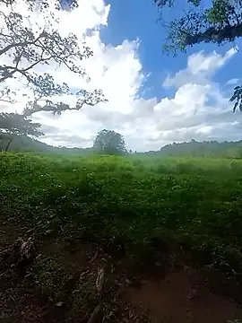 LucyNatural on StripChat