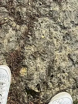 Manu97k on StripChat