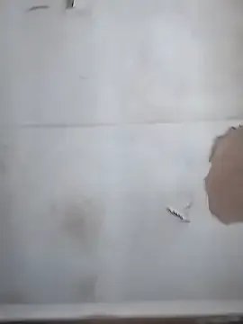 MATUREBUSSTY on StripChat