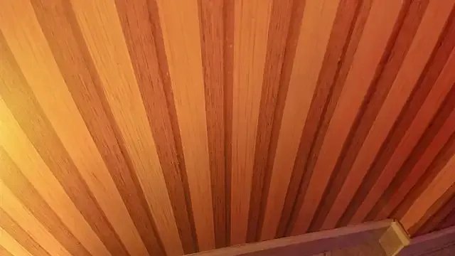 mia__blaze__ on StripChat