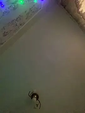 missevacrystal on StripChat