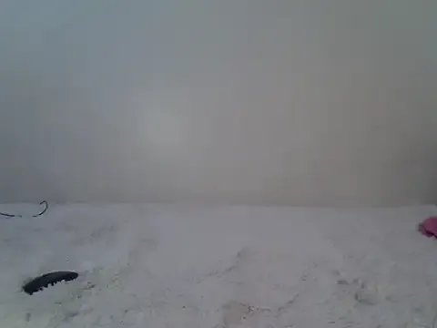 Nala1732 on StripChat