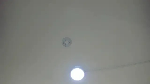 Freechat pamemiller1 on StripChat