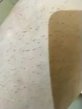 rohitlov150 on StripChat