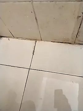 rohitlov150 on StripChat