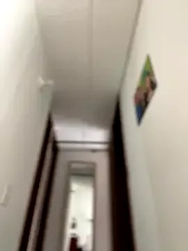 Salome_golvert on StripChat