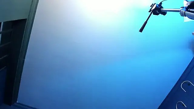 scarlet_edwars on StripChat