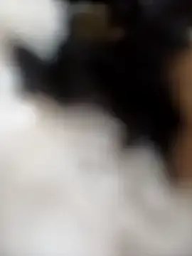 Sofia-Cam on StripChat