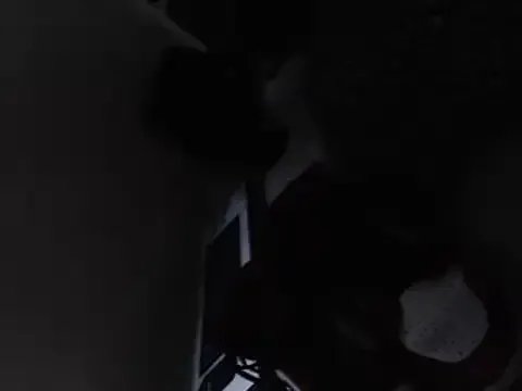 sofia69xxx — naked danc masturbation cumshot :wanker: