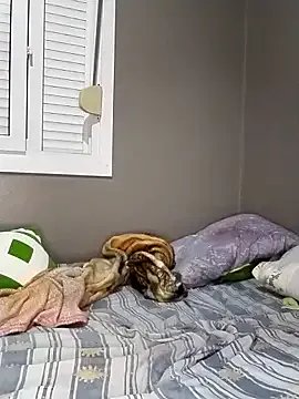 Su_Duarte_1 on StripChat