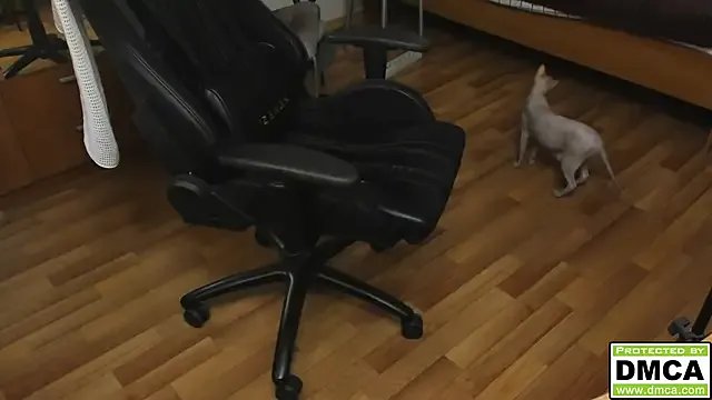 teelimata on StripChat