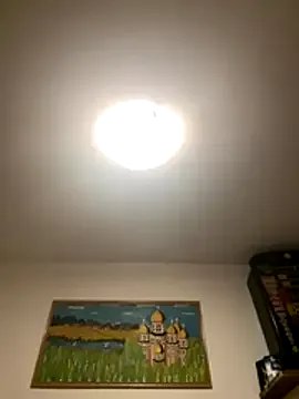 Freechat Toyjungee on StripChat