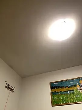 Toyjungee — Strip show