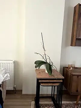 Turkishleo — Ass show / gt gster