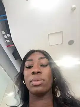 StripChat ZarahFerreira is Private ZarahFerreira — Private on StripChat